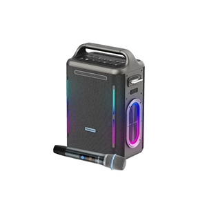 اسپیکر بلوتوث 300 وات پاورولوژی Powerology Karaoke Party Speaker PWLAU013