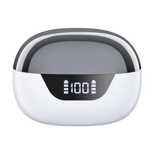 هدفون بی‌سیم Choetech 4Mics Noise Cancelling Earbuds