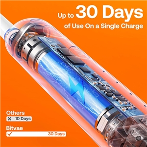 مسواک برقی Bitvae R2