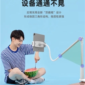 پایه نگهدارنده اوی Awei X35 Lazy Bracket