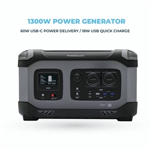 پاوربانک 392000 پاورولوژی Powerology Power Generator PPBCHA23 توان 1300 وات